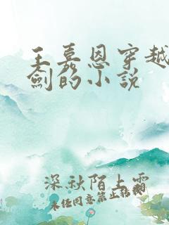 王嘉恩穿越到亮剑的小说