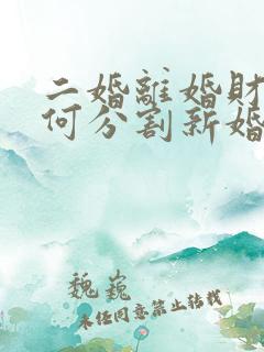 二婚离婚财产如何分割新婚姻法找律师