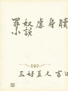 罪奴虐身赎罪的小说