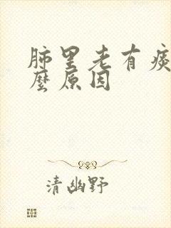 肺里老有痰是什么原因