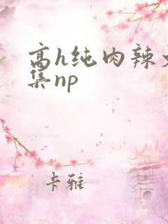 高h纯肉辣文合集np