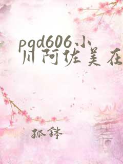 pgd606小川阿佐美在线播放