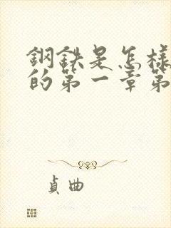 钢铁是怎样炼成的第一章第二部读后感