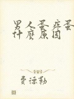 男人蛋疼蛋肿是什么原因