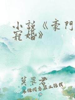 小说《豪门第一宠婚》