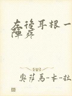 左后耳根一阵一阵疼