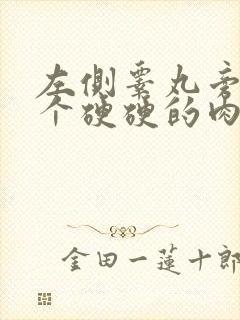 左侧睾丸旁边长个硬硬的肉疙瘩是怎么回事