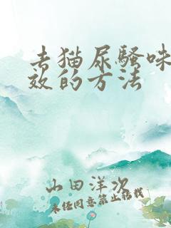 去猫尿骚味最有效的方法