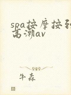spa按摩按到高潮av