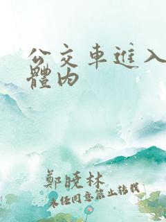 公交车进入岳母体内