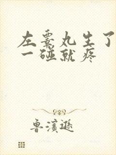 左睾丸生了疙瘩一碰就疼