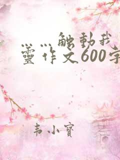 ……触动我的心灵作文600字作文