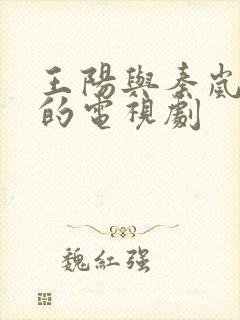 王阳与秦岚主演的电视剧