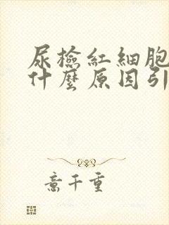 尿检红细胞高是什么原因引起的