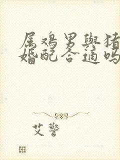 属鸡男与猪女的婚配合适吗