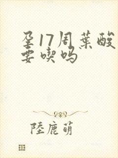 孕17周叶酸还要吃吗