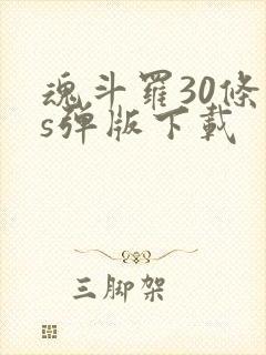 魂斗罗30条命s弹版下载