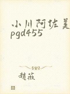 小川阿佐美丝袜pgd455