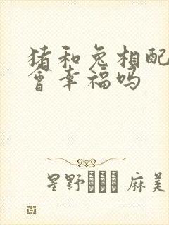 猪和兔相配婚姻会幸福吗