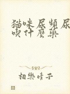 猫咪尿频尿出血吃什么药