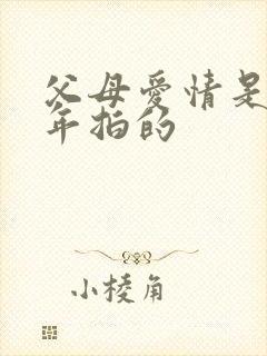 父母爱情是哪一年拍的