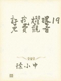 许我耀眼19集免费观看