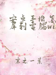 安卓手机怎么投屏到电脑win10