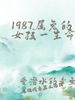 1987属兔的女孩一生命运