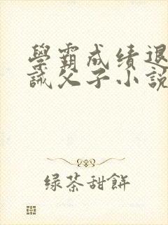 学霸成绩退步训诫父子小说