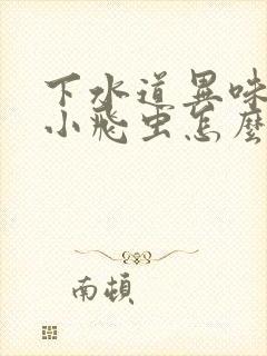 下水道异味重有小飞虫怎么办