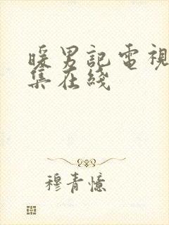 暖男记电视剧全集在线