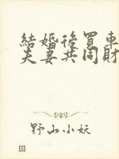 结婚后买车属于夫妻共同财产吗