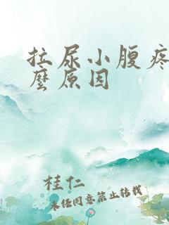 拉尿小腹疼痛什么原因