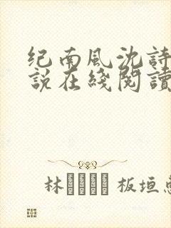 纪南风沈诗澜小说在线阅读