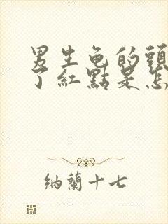 男生龟的头上长了红点是怎么回事