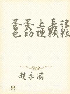 蛋蛋上长很多白色的硬颗粒是什么原因