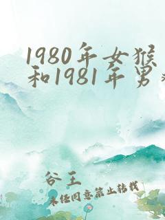 1980年女猴和1981年男鸡婚姻