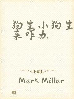 狗生小狗生不下来咋办