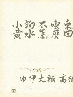 小狗不吃东西吐黄水怎么回事