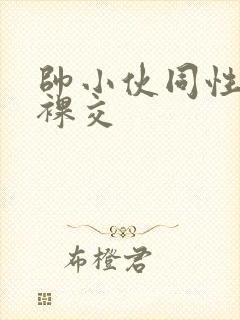 帅小伙同性男男裸交