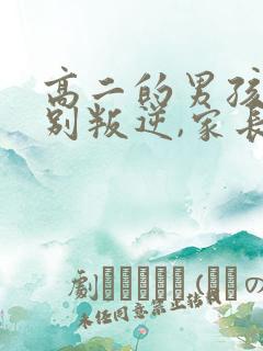 高二的男孩子特别叛逆,家长怎么办?