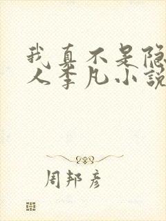 我真不是隐世高人李凡小说