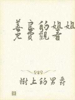 善良的姐姐在线免费观看