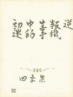 初中生叛逆期沉迷的手机