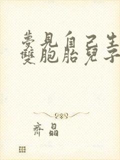 梦见自己生了个双胞胎儿子