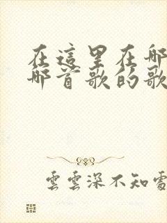 在这里在哪里是哪首歌的歌词