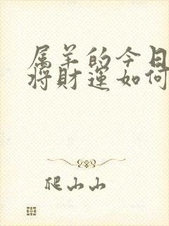 属羊的今日打麻将财运如何