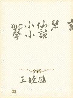 mc小仙儿 有声小说
