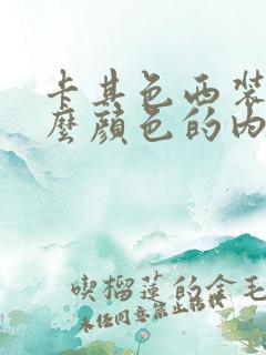 卡其色西装配什么颜色的内搭好看