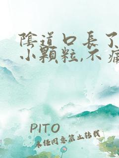 阴道口长了很多小颗粒,不痛不痒